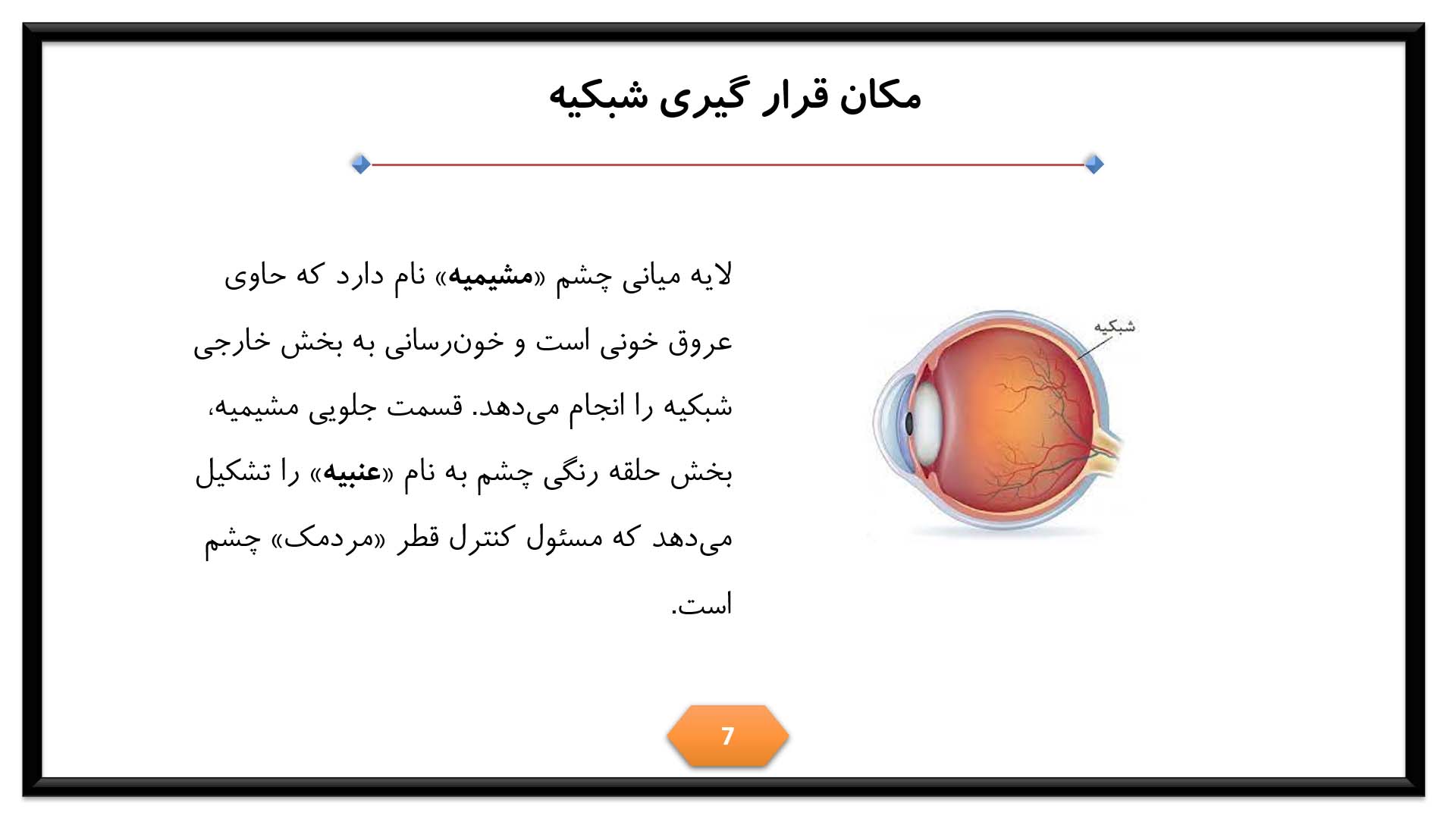 پاورپوینت در مورد شبکیه چشم 